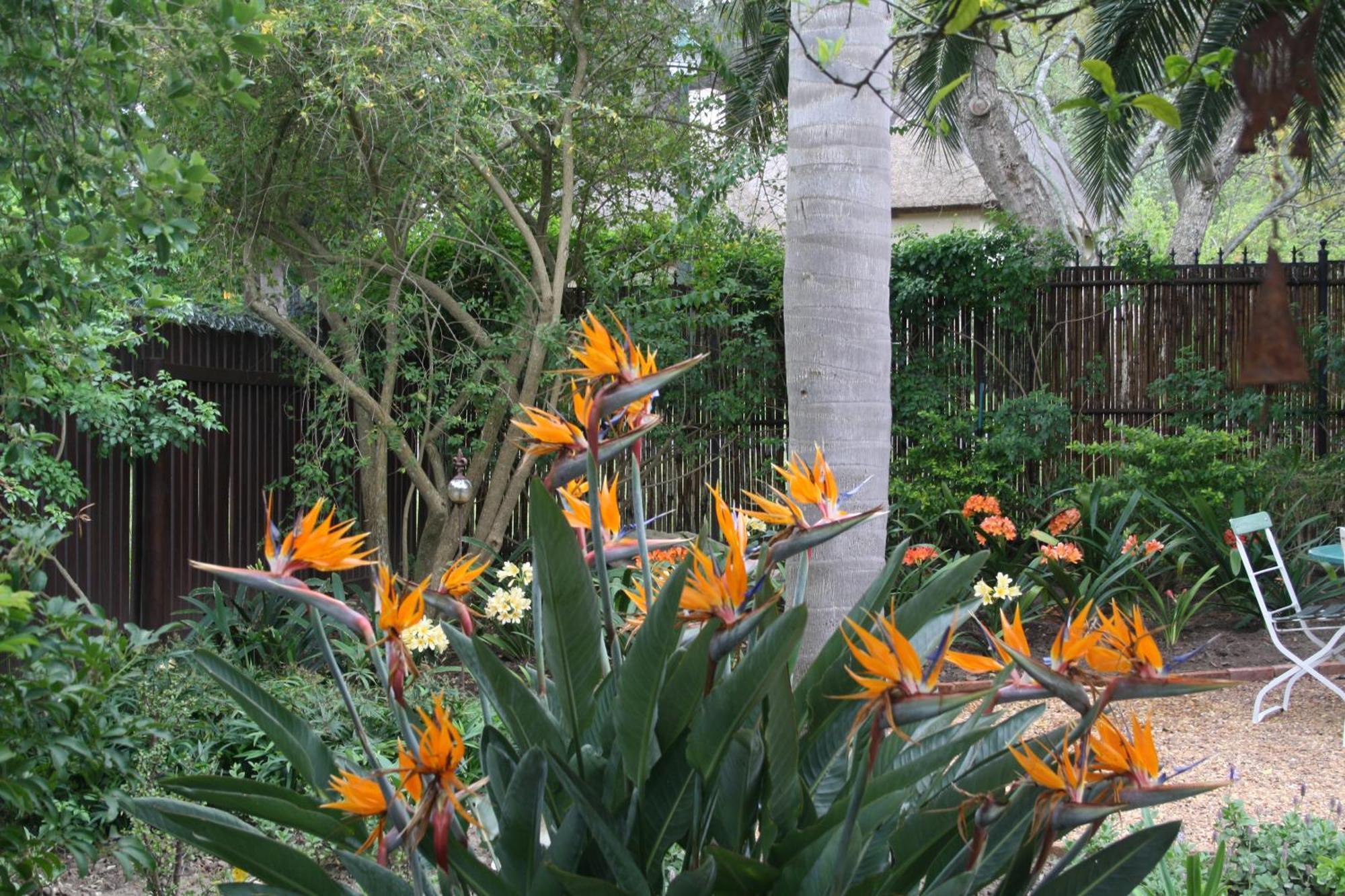 Tortelduif Cottage Stellenbosch Exterior foto