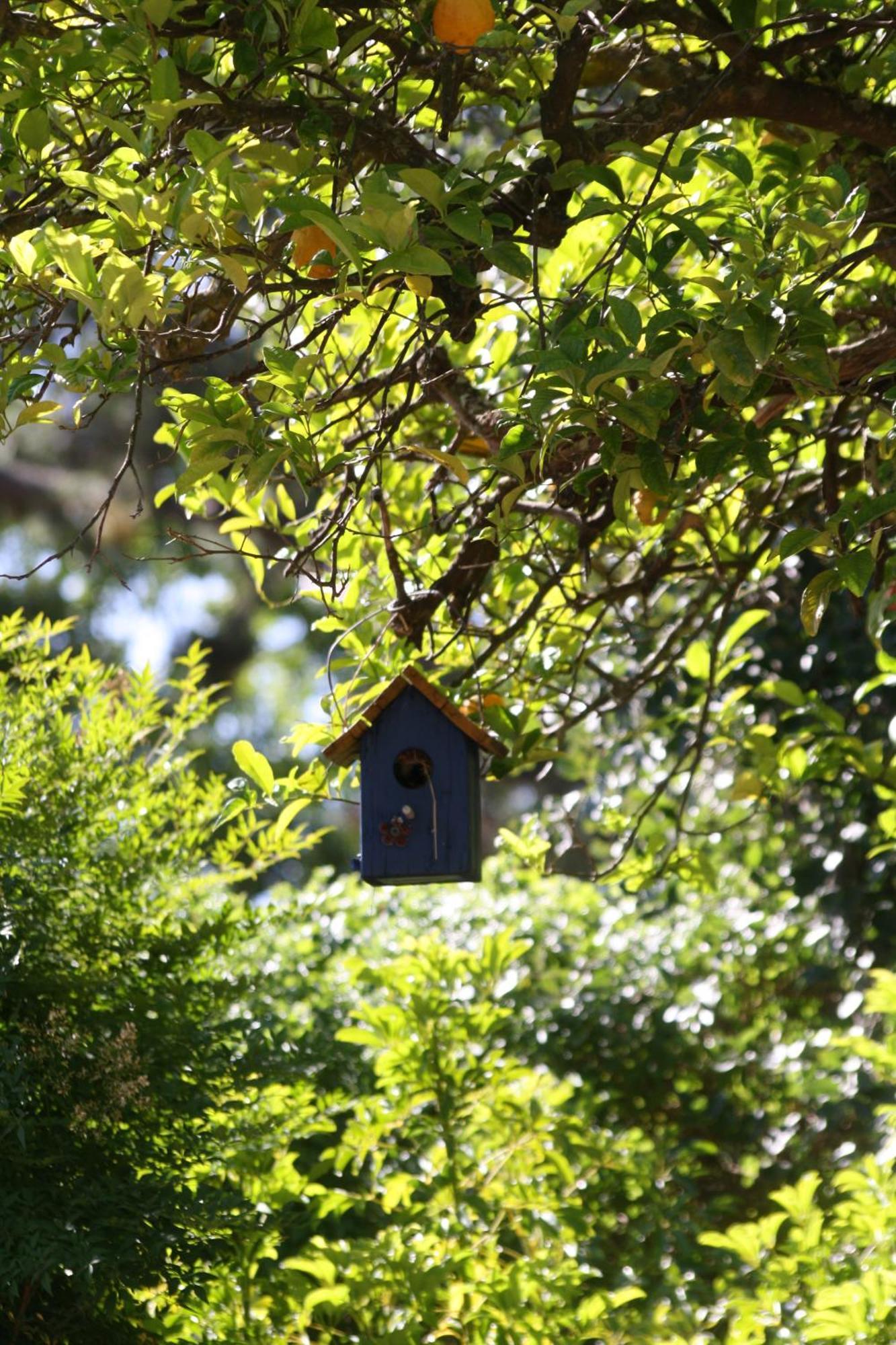 Tortelduif Cottage Stellenbosch Exterior foto